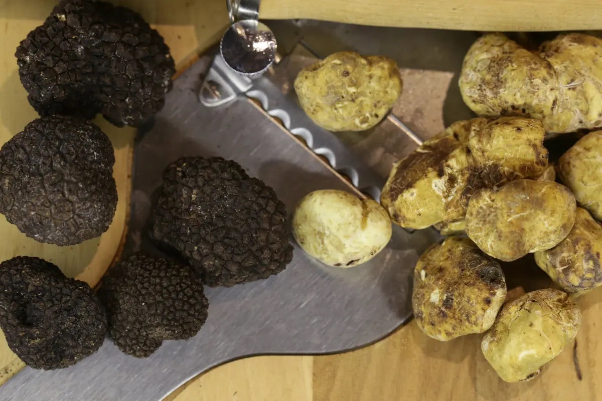 History of Truffles: From Ancient Roots to Modern Delight