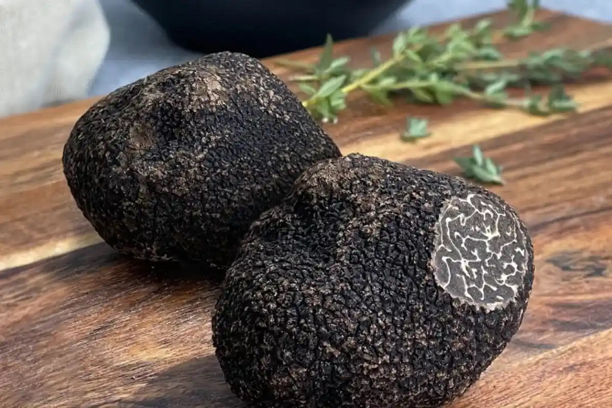 Fresh Truffles