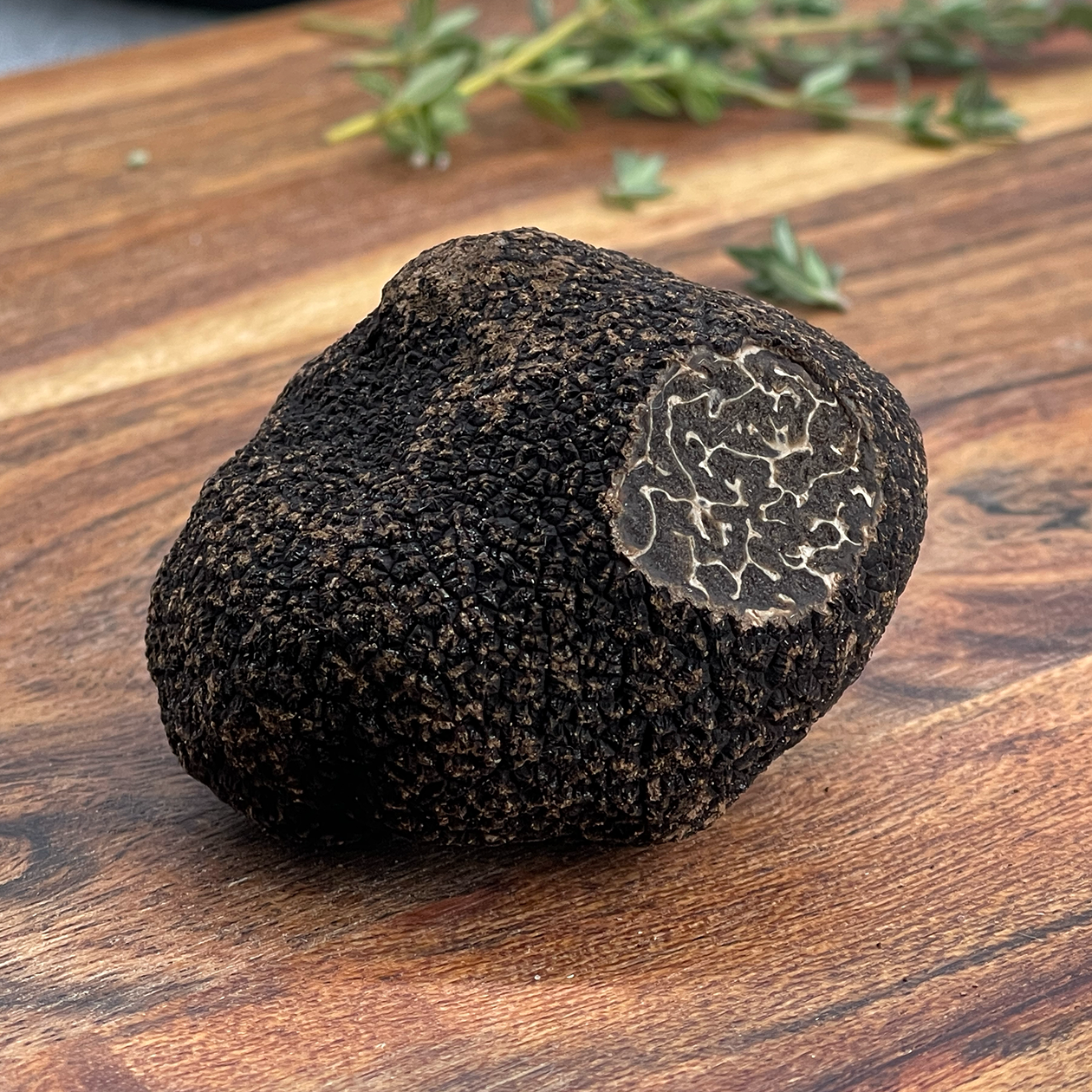 Fresh Black Périgord Truffles