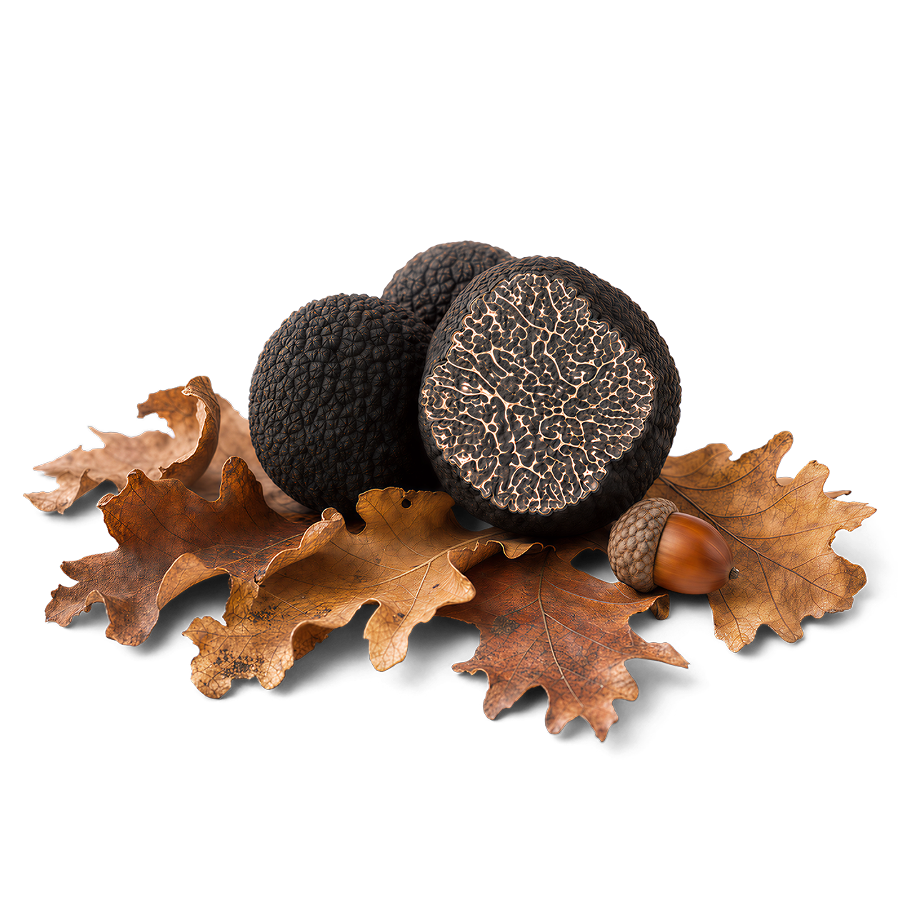 Fresh Black Périgord Truffles