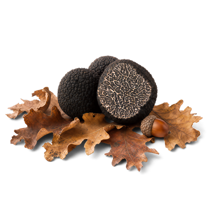 Fresh Black Périgord Truffles