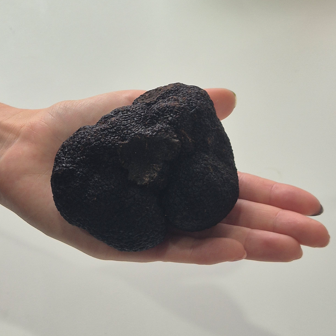 Truffle of the Week - Icon Class