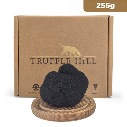 Truffle of the Week - Icon Class