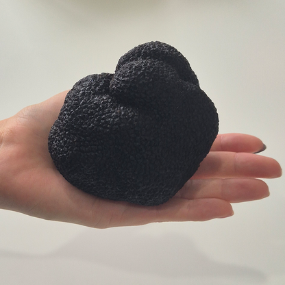 Truffle of the Week - Icon Class