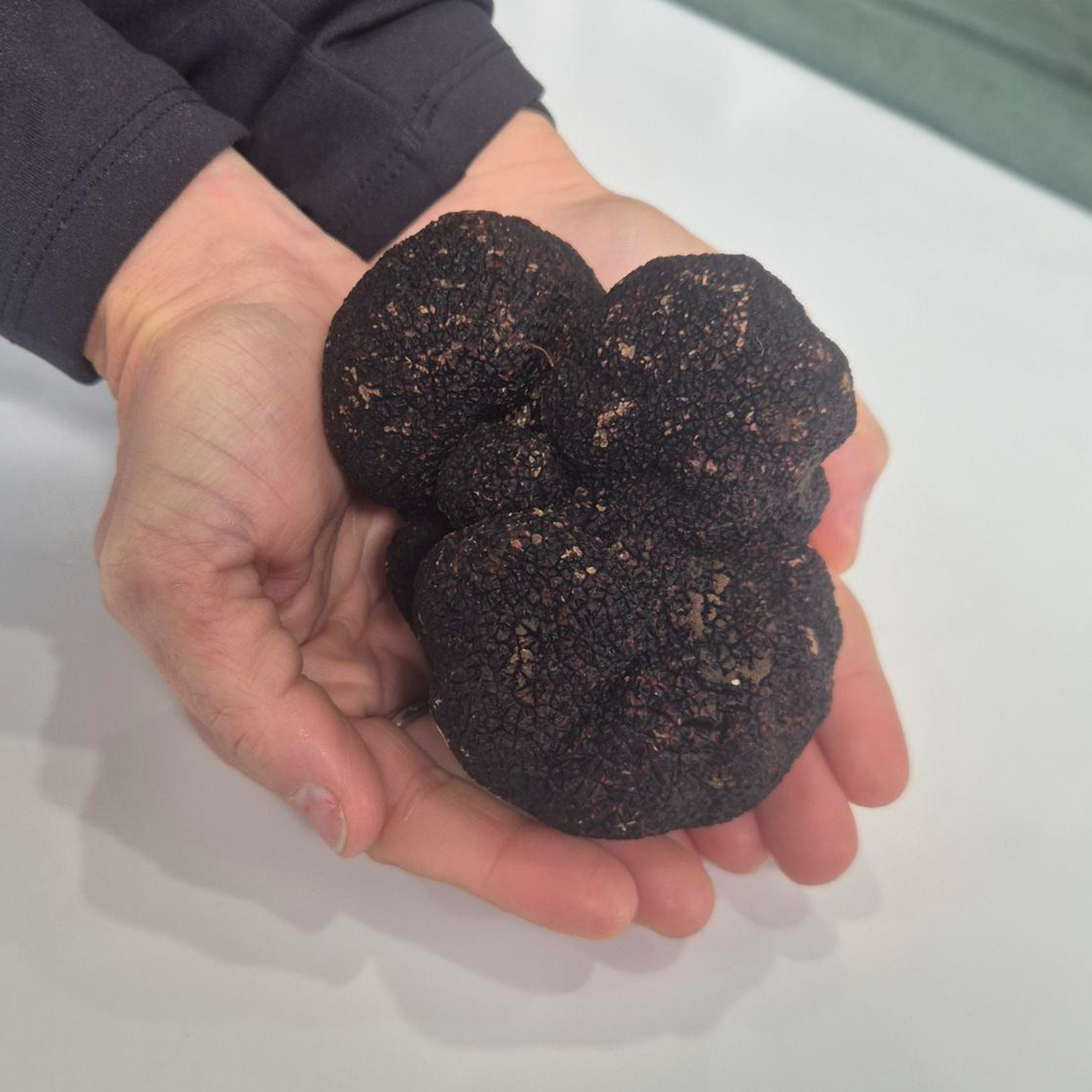 Truffle of the Week - Icon Class