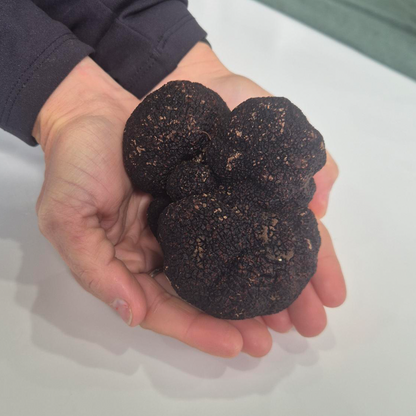 Truffle of the Week - Icon Class