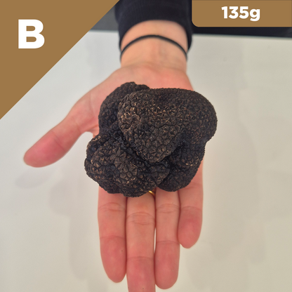 Truffle of the Week - Icon Class