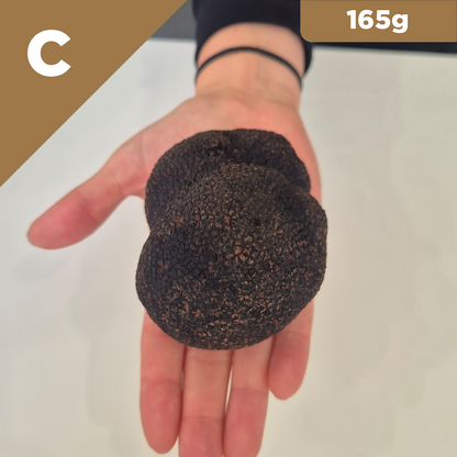 Truffle of the Week - Icon Class