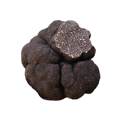 Fresh Black Périgord Truffles
